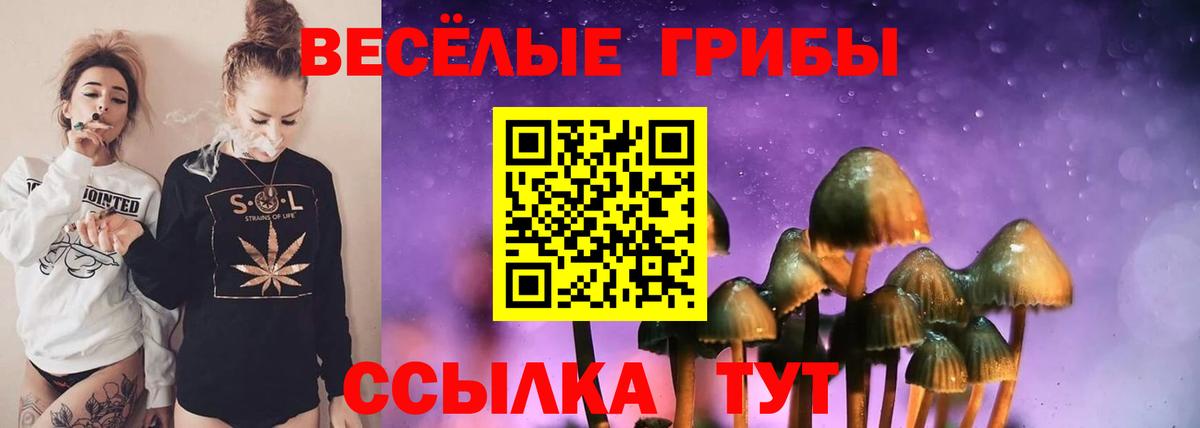 Зима  Галлюциногенные грибы MAGIC MUSHROOMS  Вход с VPN 